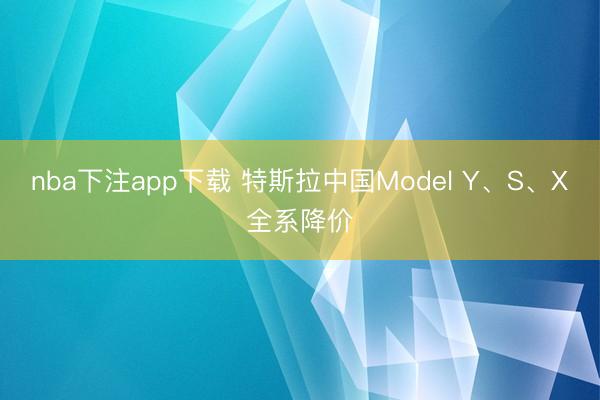 nba下注app下载 特斯拉中国Model Y、S、X全系降价