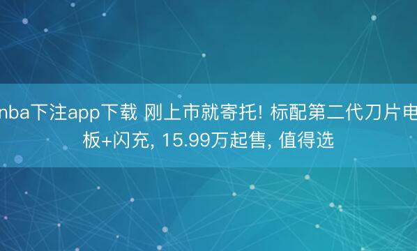 nba下注app下载 刚上市就寄托! 标配第二代刀片电板+闪充, 15.99万起售, 值得选