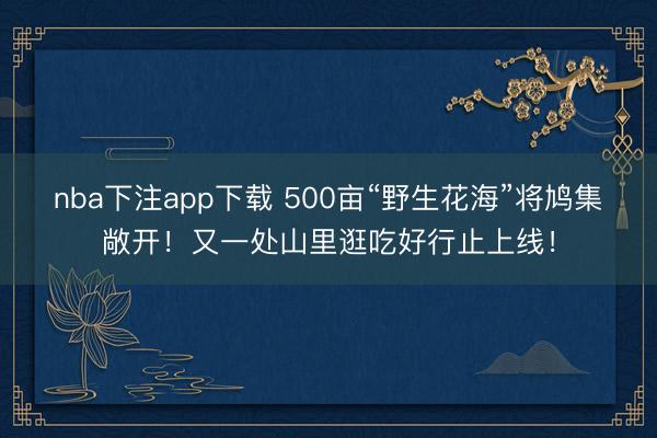 nba下注app下载 500亩“野生花海”将鸠集敞开！又一处山里逛吃好行止上线！