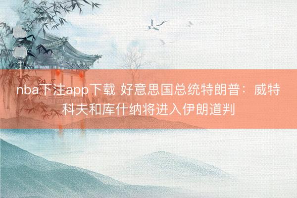 nba下注app下载 好意思国总统特朗普：威特科夫和库什纳将进入伊朗道判