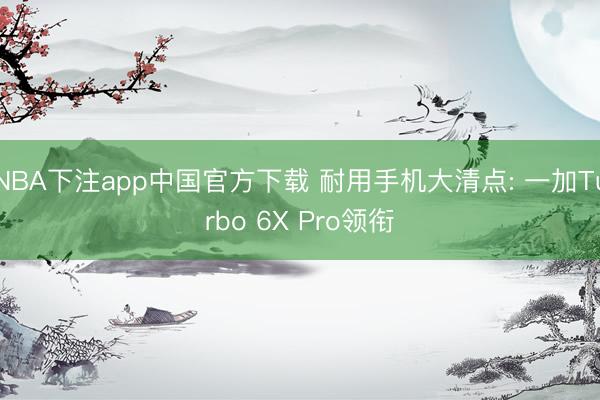 NBA下注app中国官方下载 耐用手机大清点: 一加Turbo 6X Pro领衔